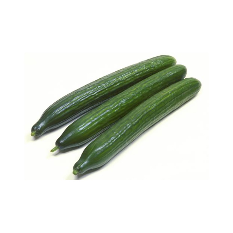 Local Organic Fresh Cucumber 500g Spicebox Organics