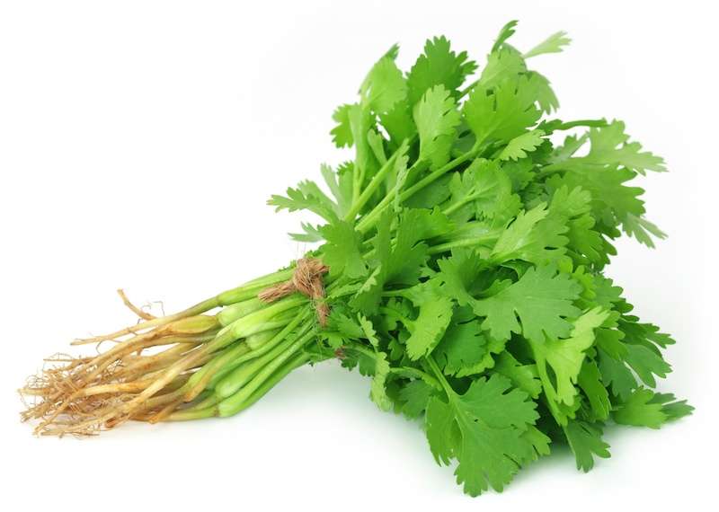 Local Organic Coriander 100g Spicebox Organics