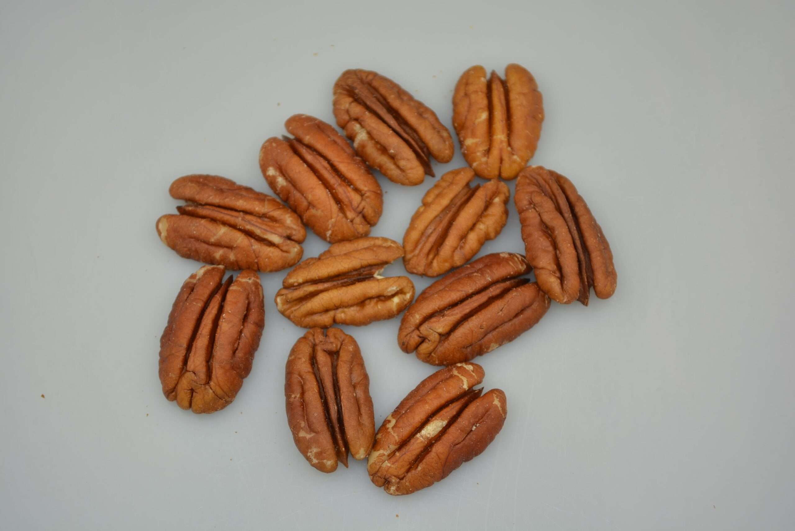 SpiceBox Organics Natural Pecans 100g (By weight) Spicebox Organics