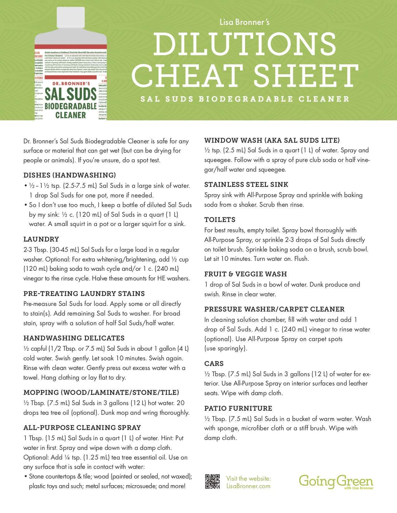 Dr. Bronner's Sal Suds Liquid Cleaner 16 oz Spicebox Organics